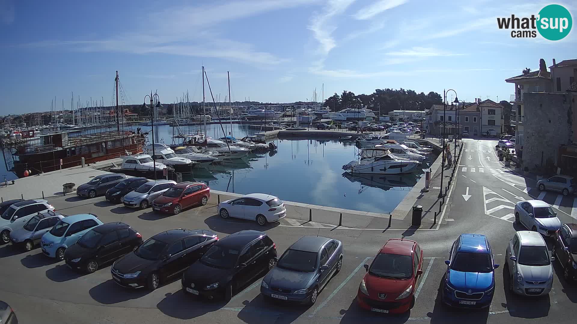 Novigrad | Porporela marina
