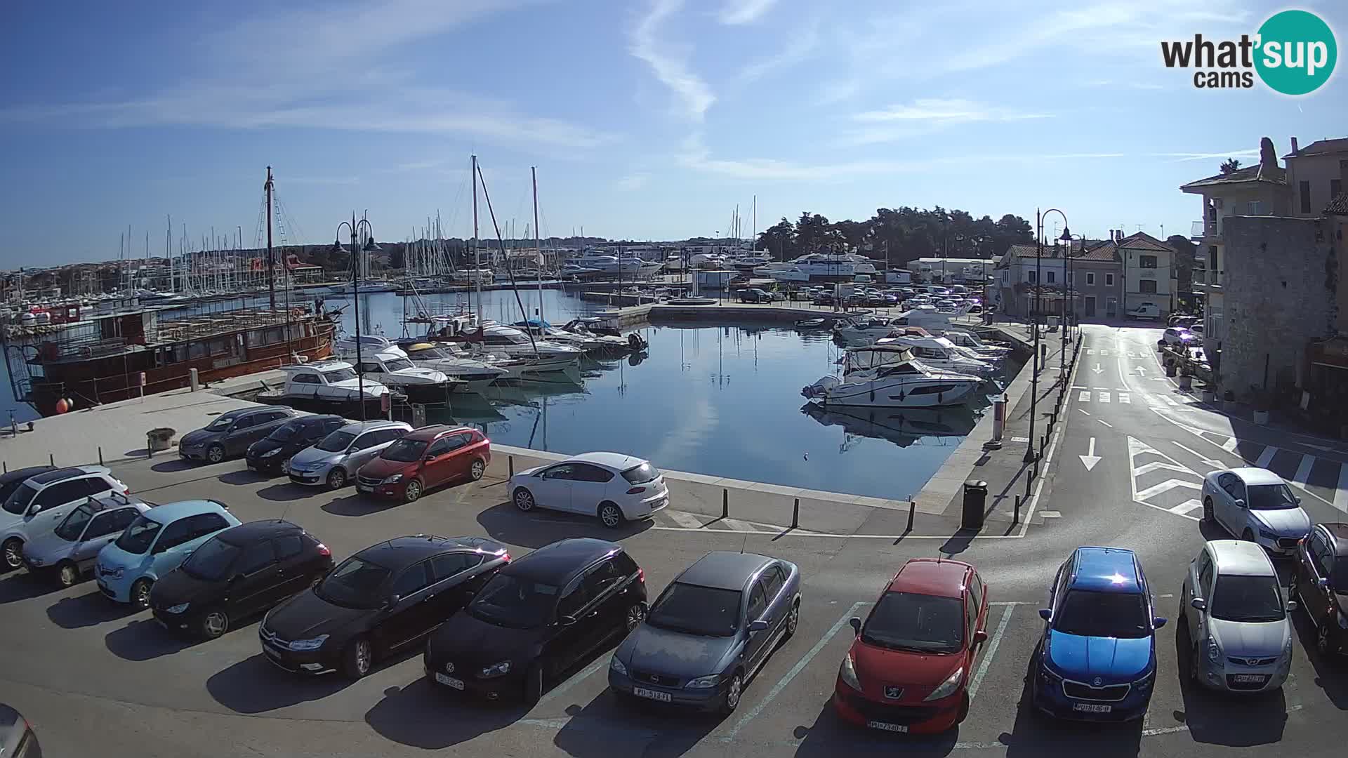 Novigrad | Porporela marina