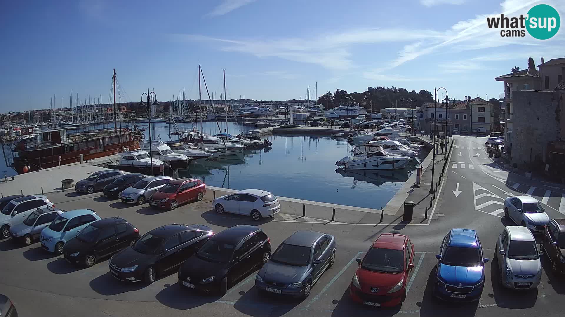Novigrad | Porporela marina
