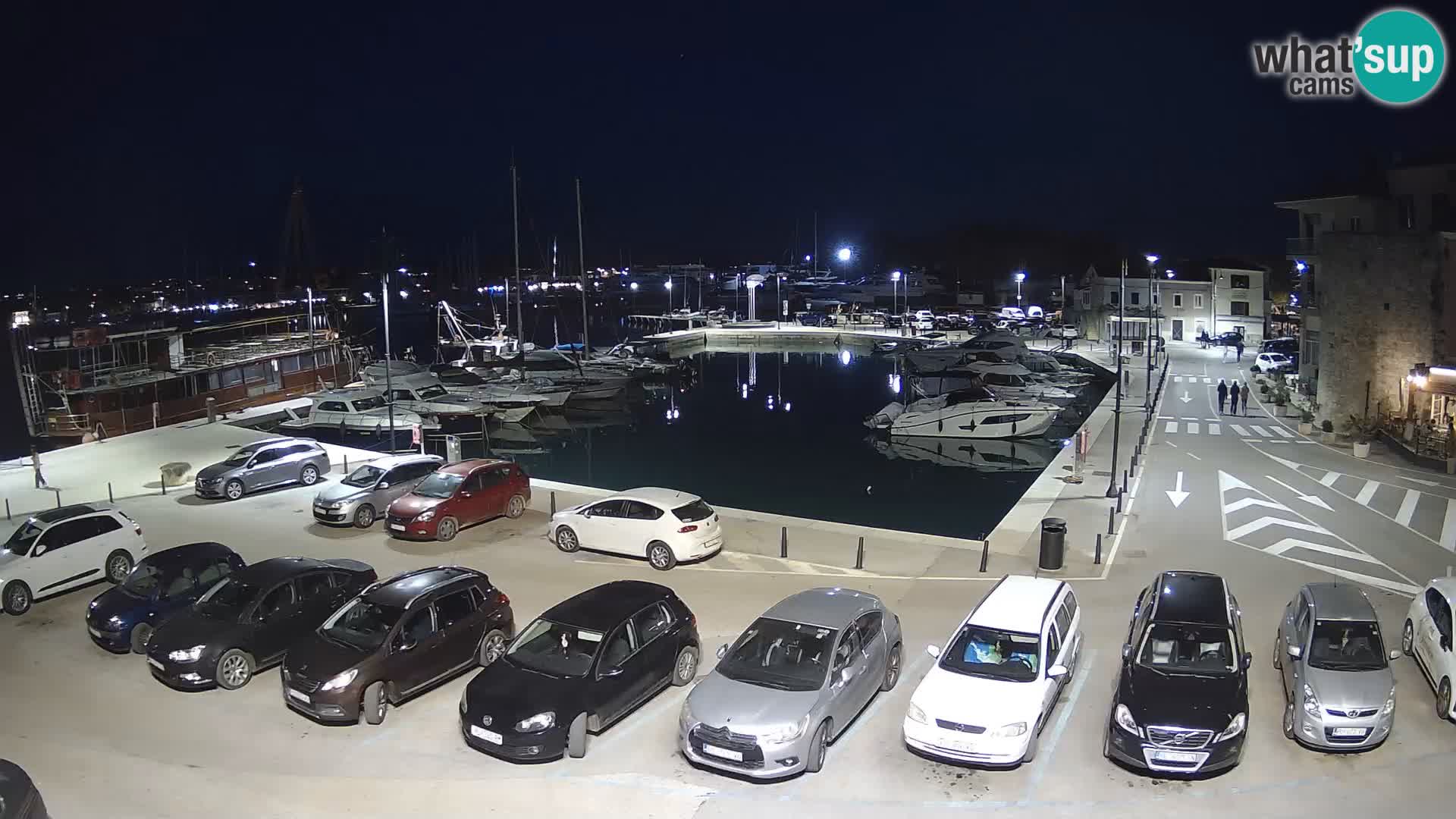 Novigrad | Porporela marina