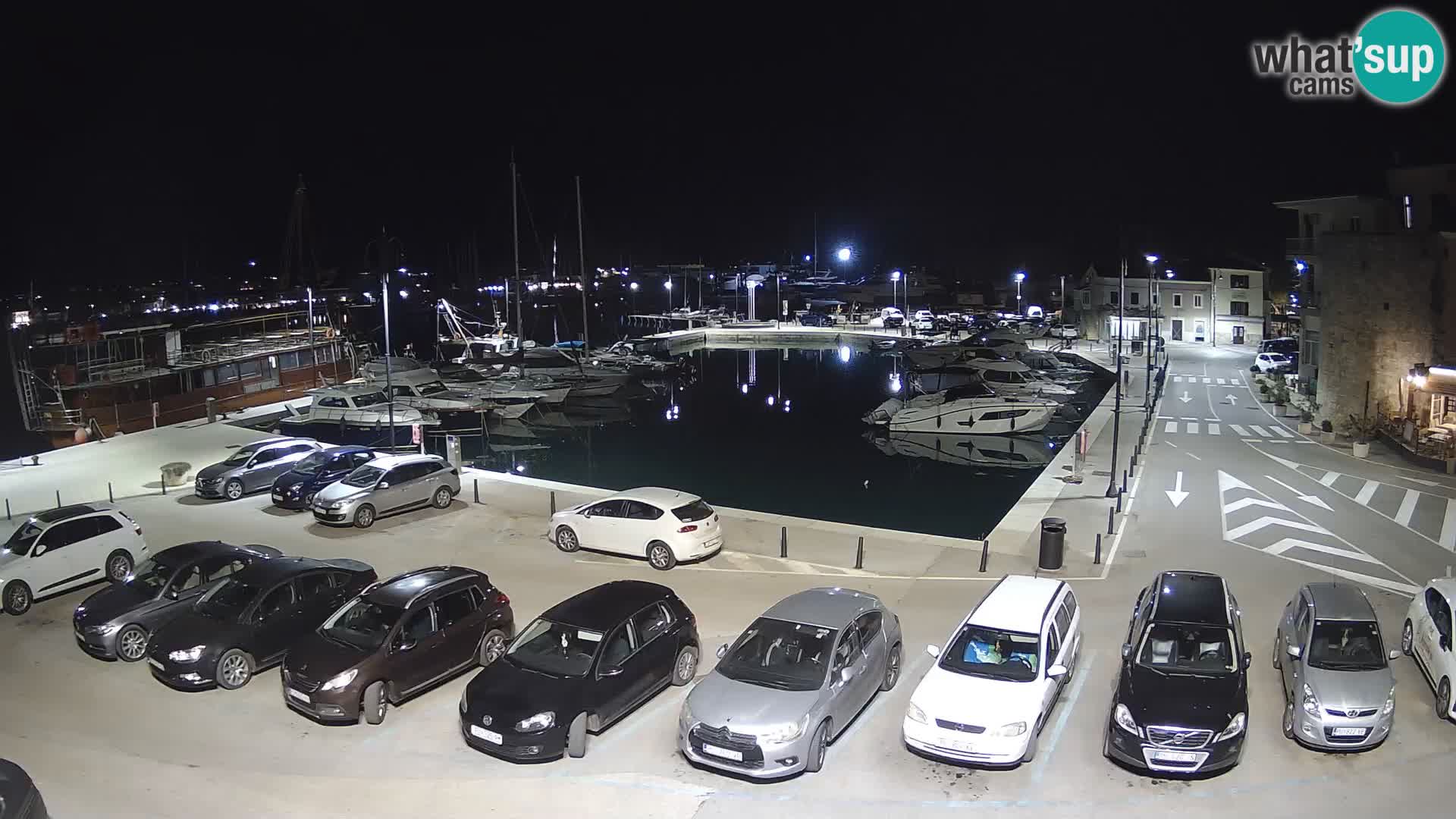 Novigrad | Porporela marina