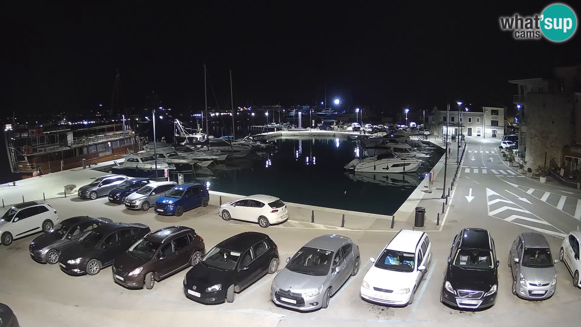 Novigrad | Porporela marina