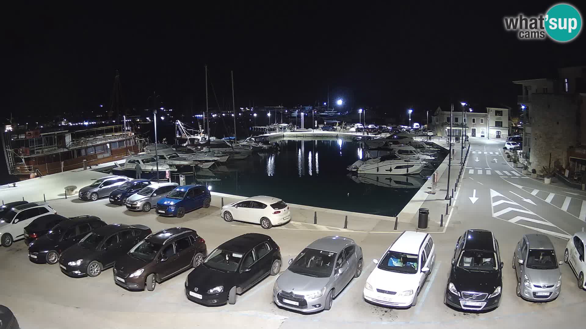 Novigrad | Porporela marina