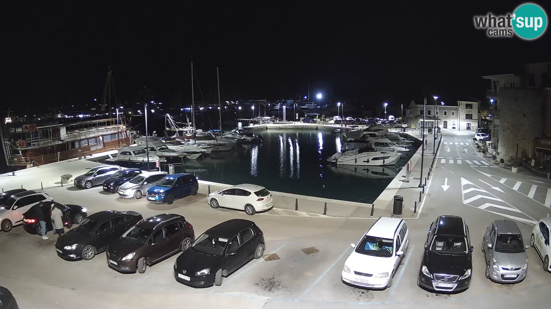 Novigrad | Porporela marina