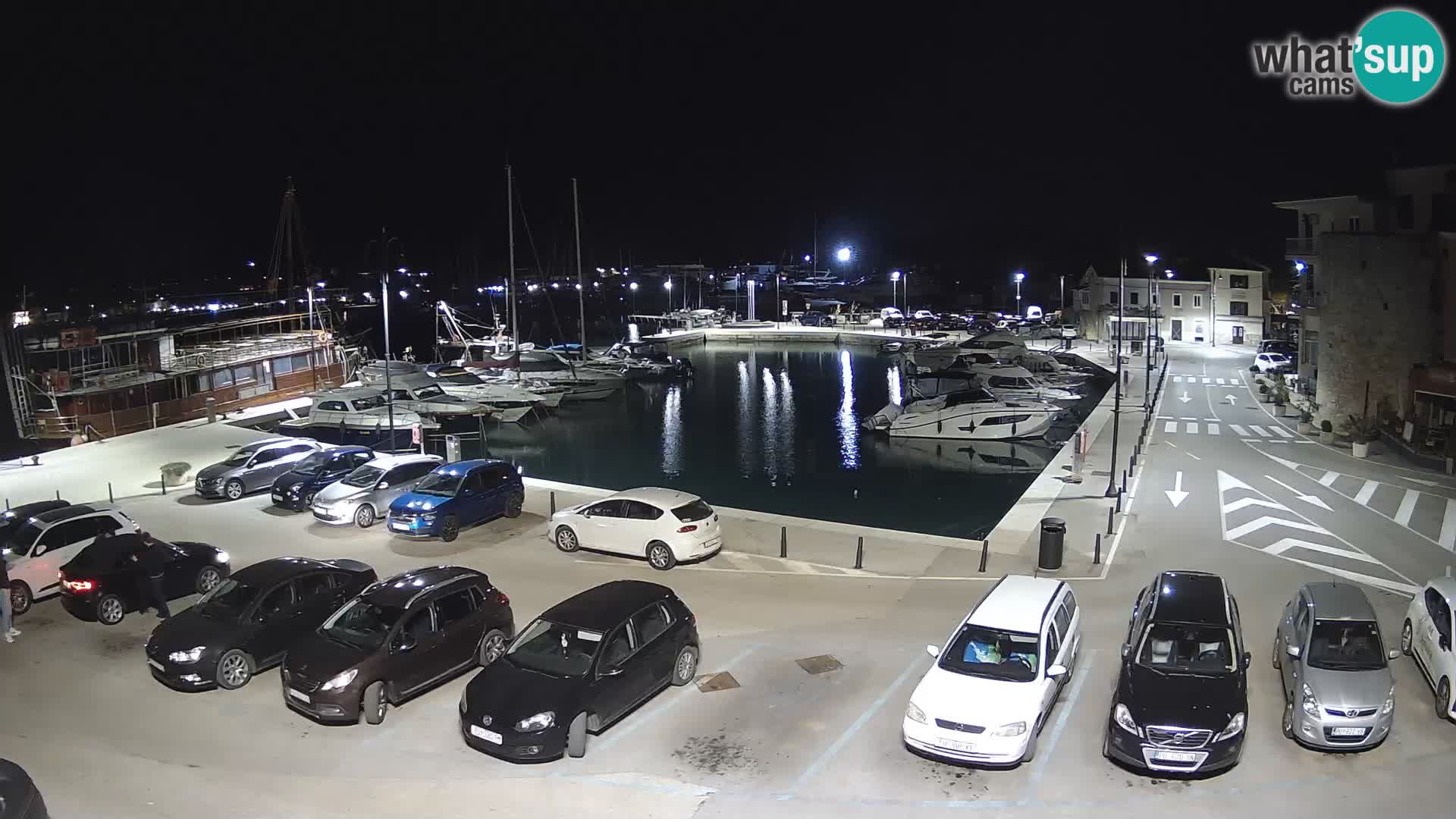 Novigrad | Porporela marina