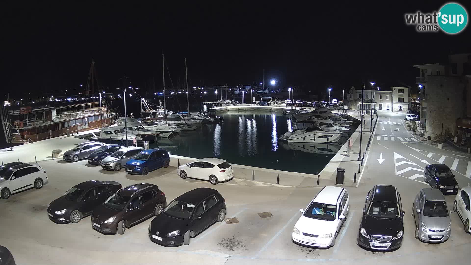 Novigrad | Porporela marina