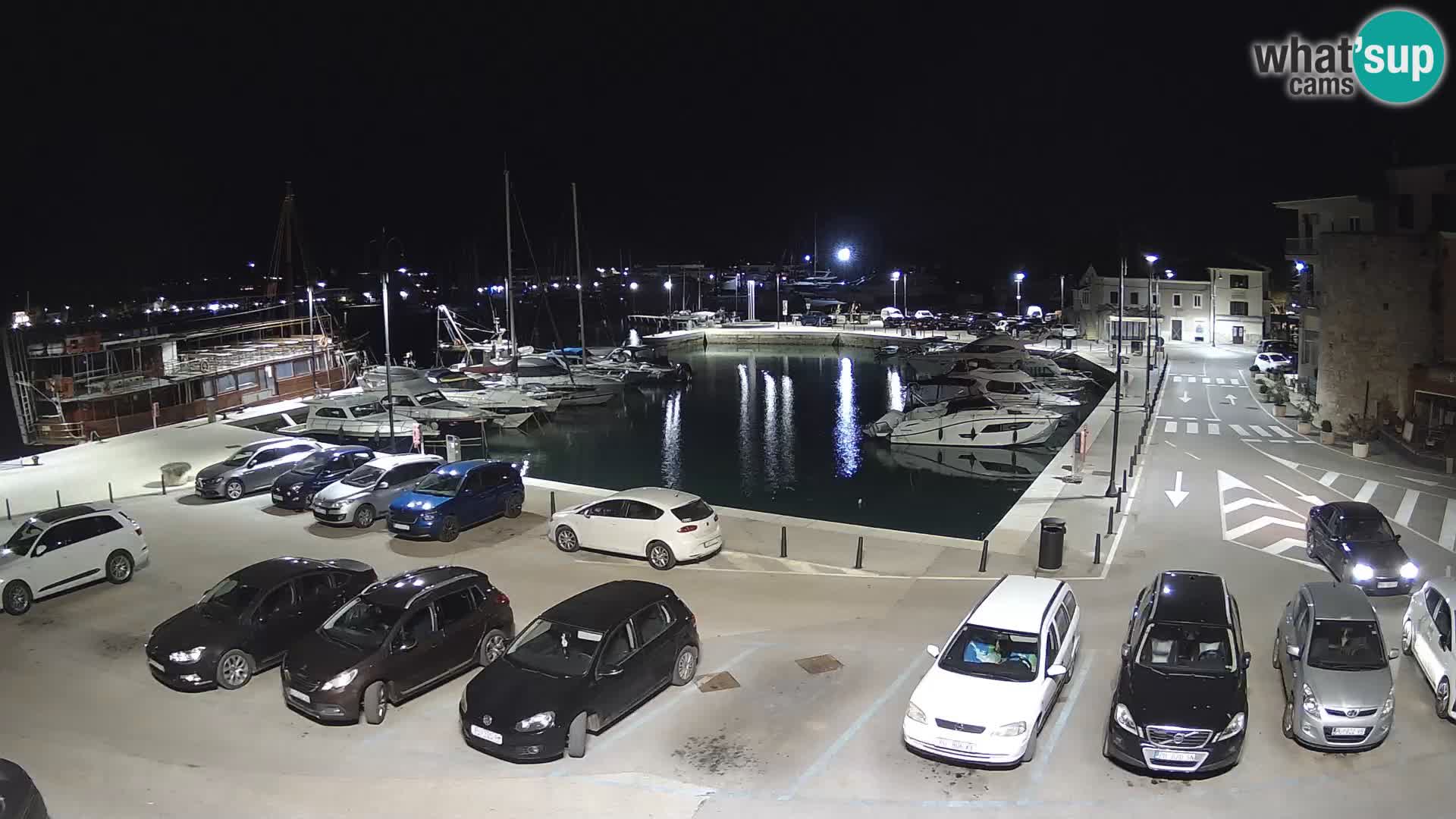 Novigrad | Porporela marina