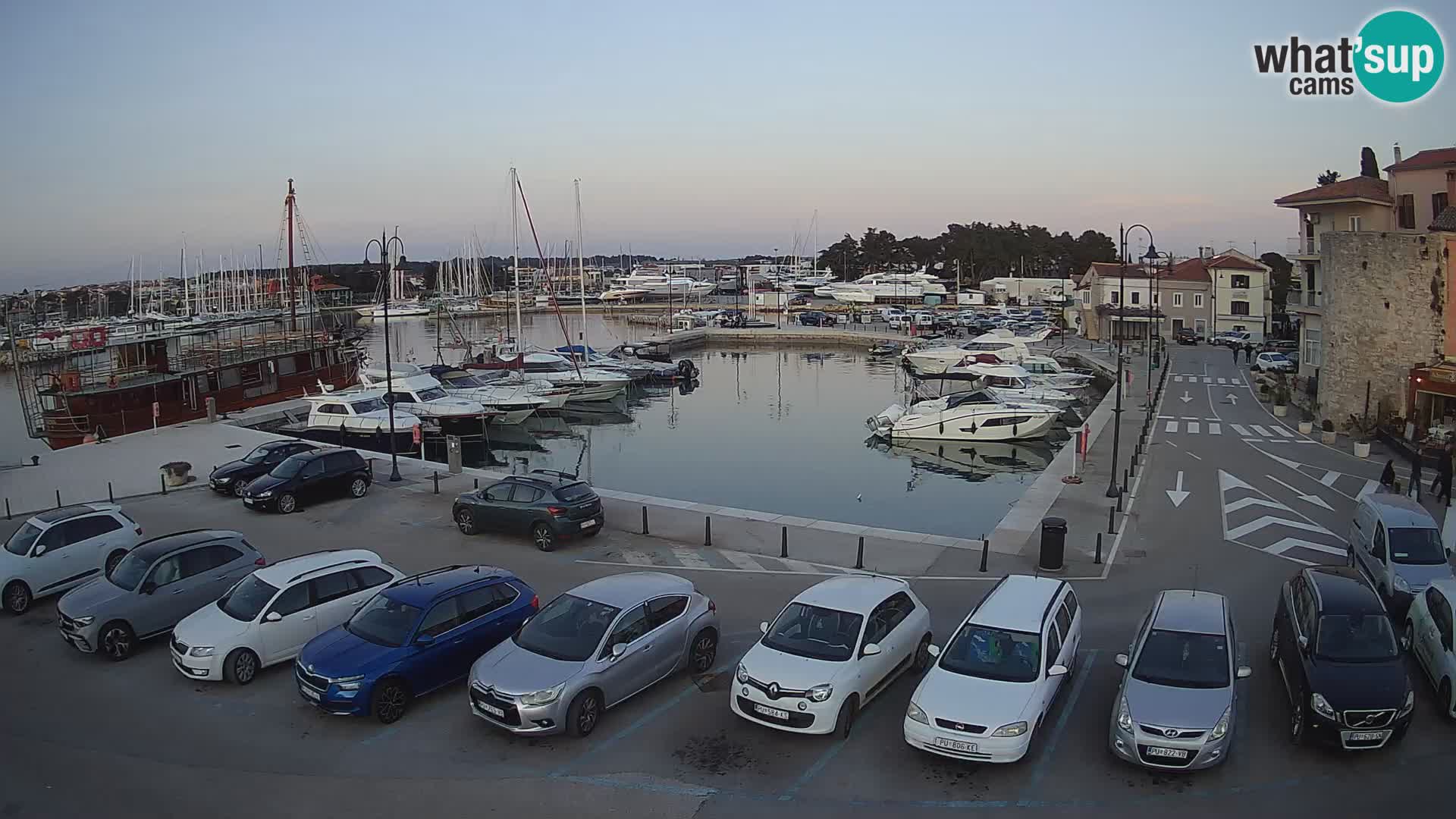 Novigrad | Porporela marina