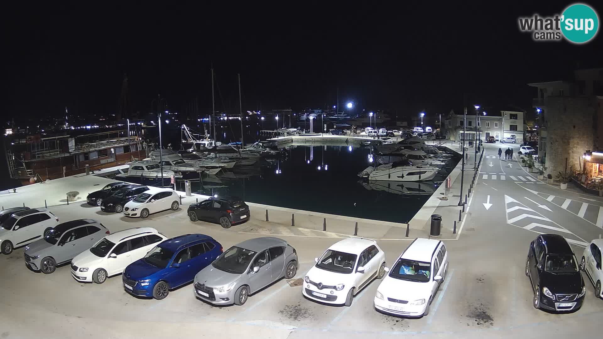 Novigrad | Porporela marina