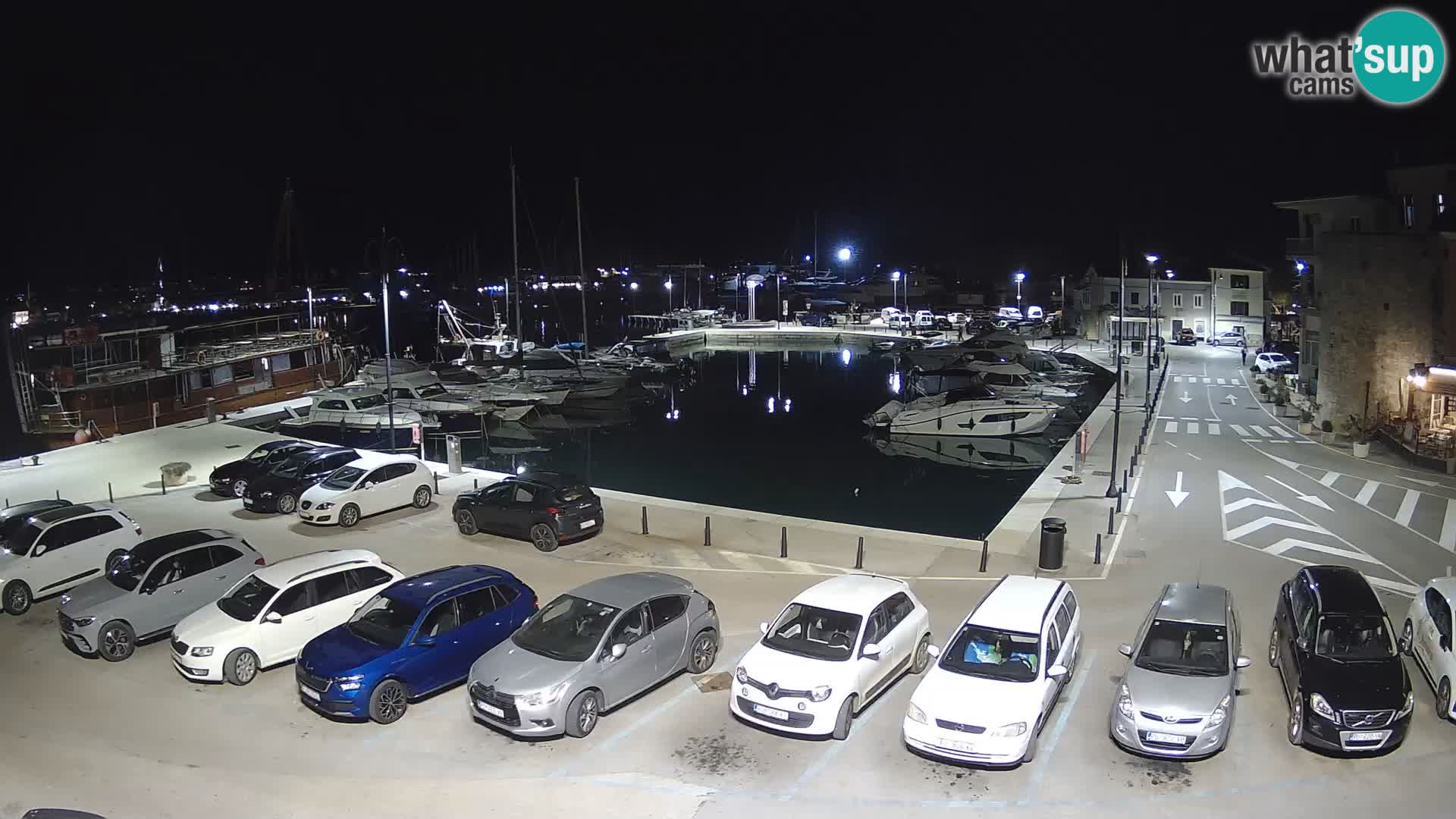 Novigrad | Porporela marina