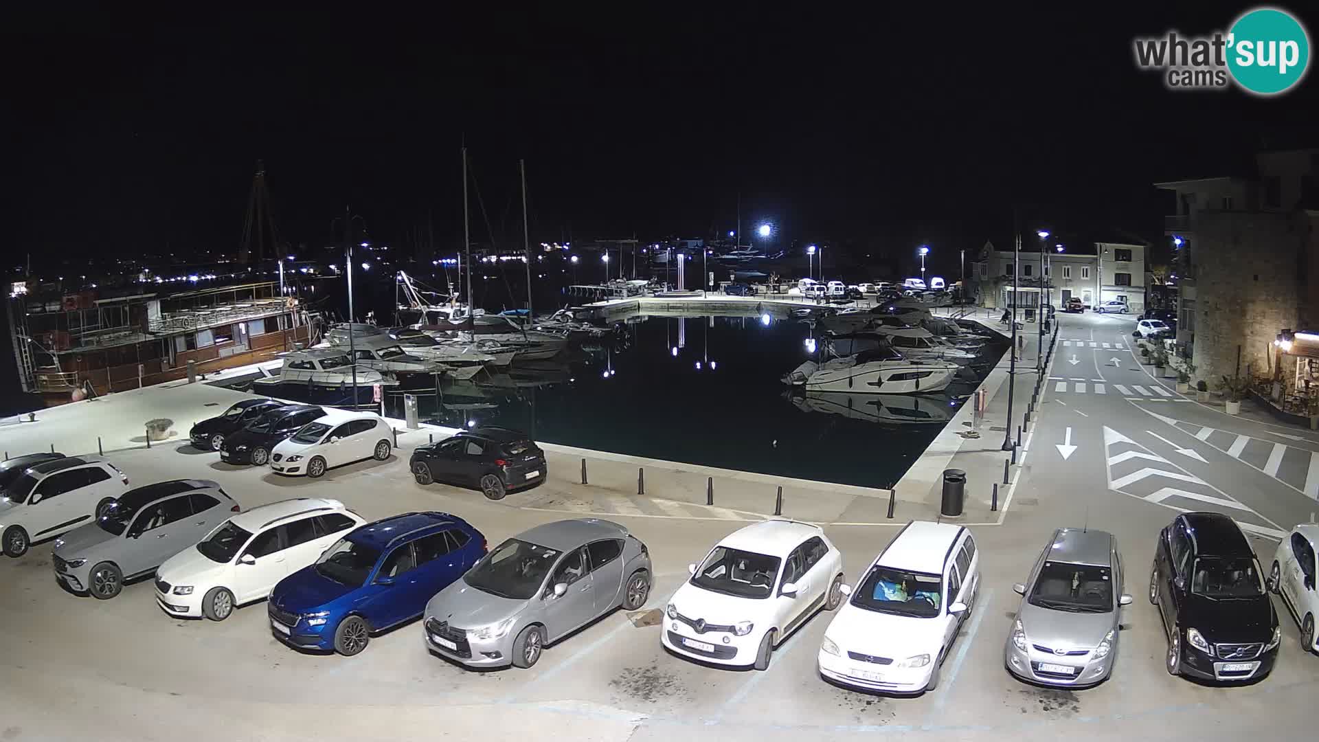 Novigrad | Porporela marina