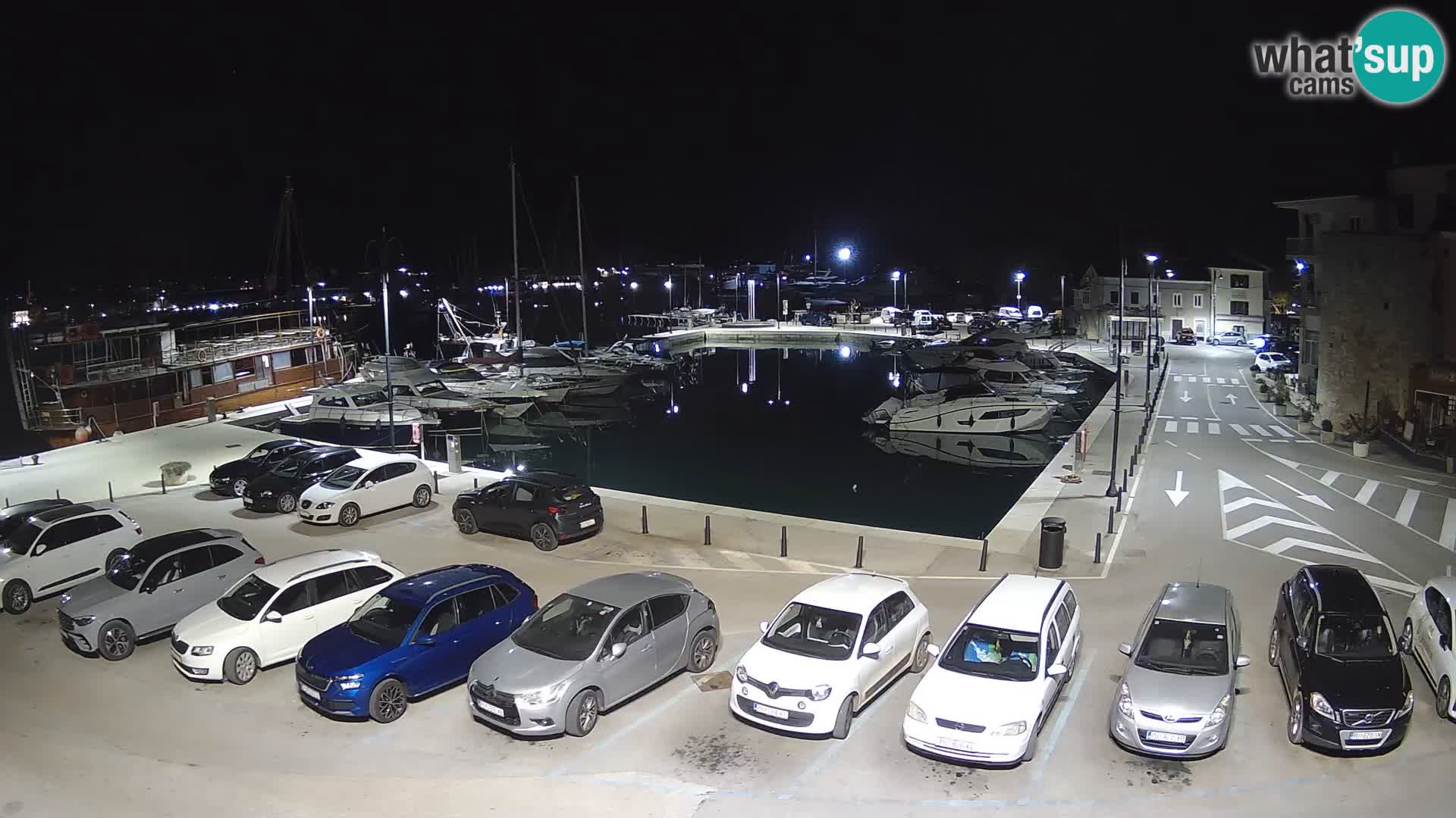 Novigrad | Porporela marina