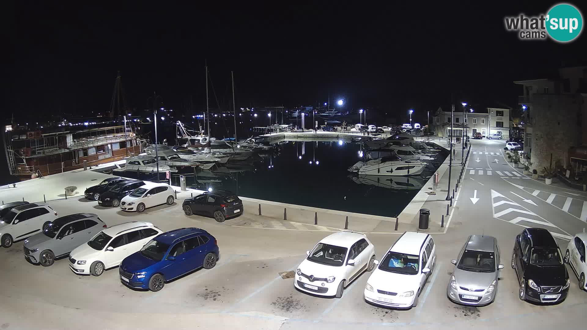 Novigrad | Porporela marina