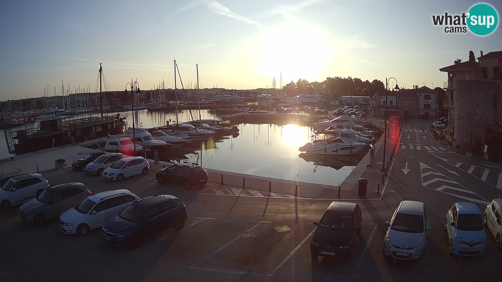 Novigrad | Porporela marina