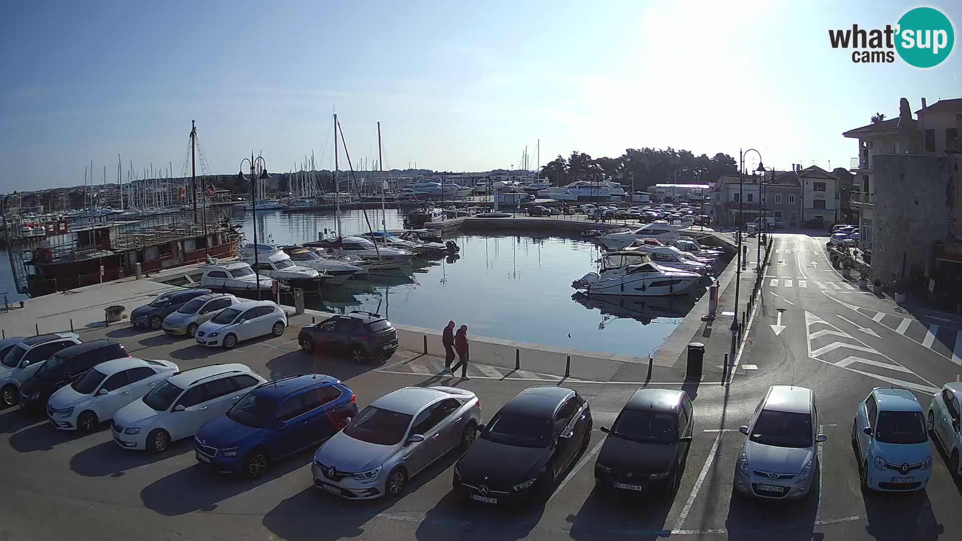 Novigrad | Porporela marina