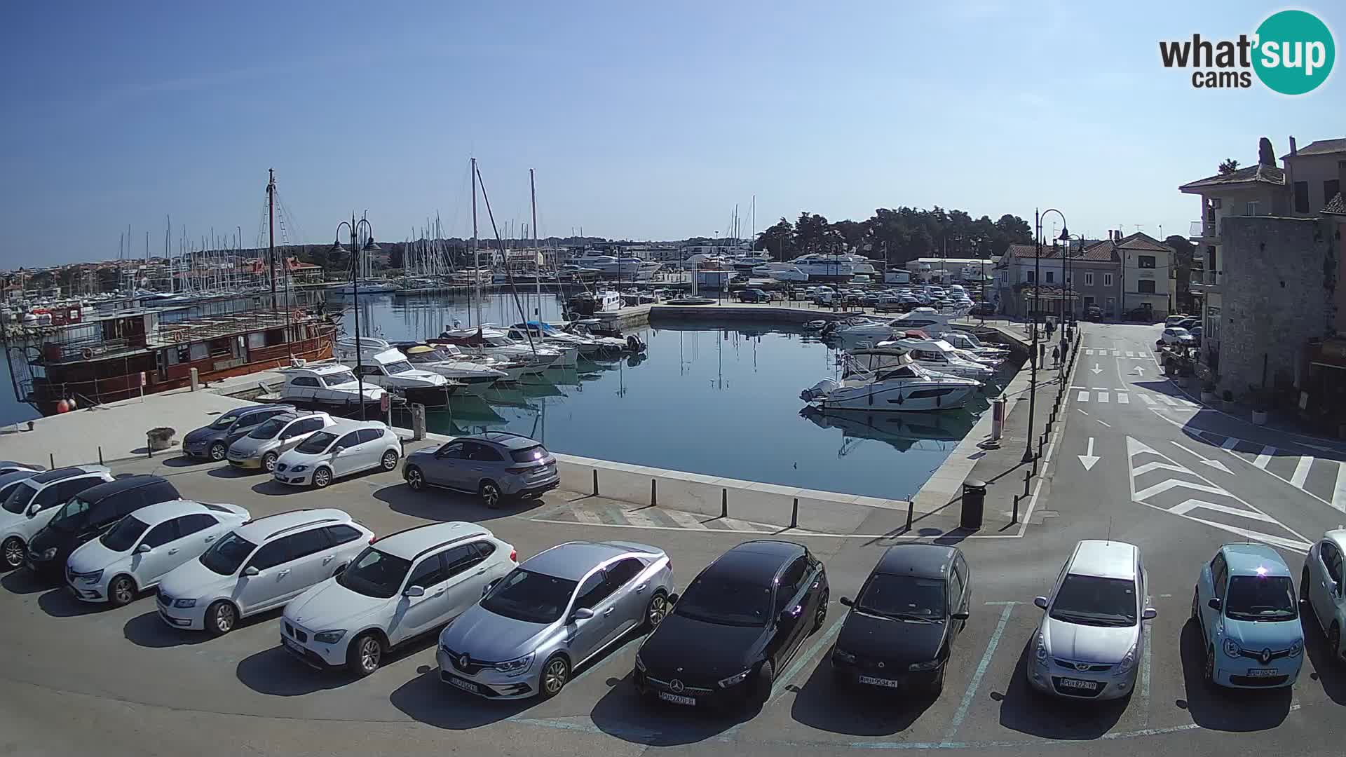 Novigrad | Porporela marina