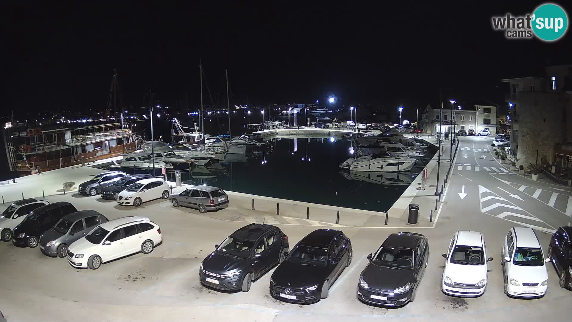 Novigrad | Porporela marina