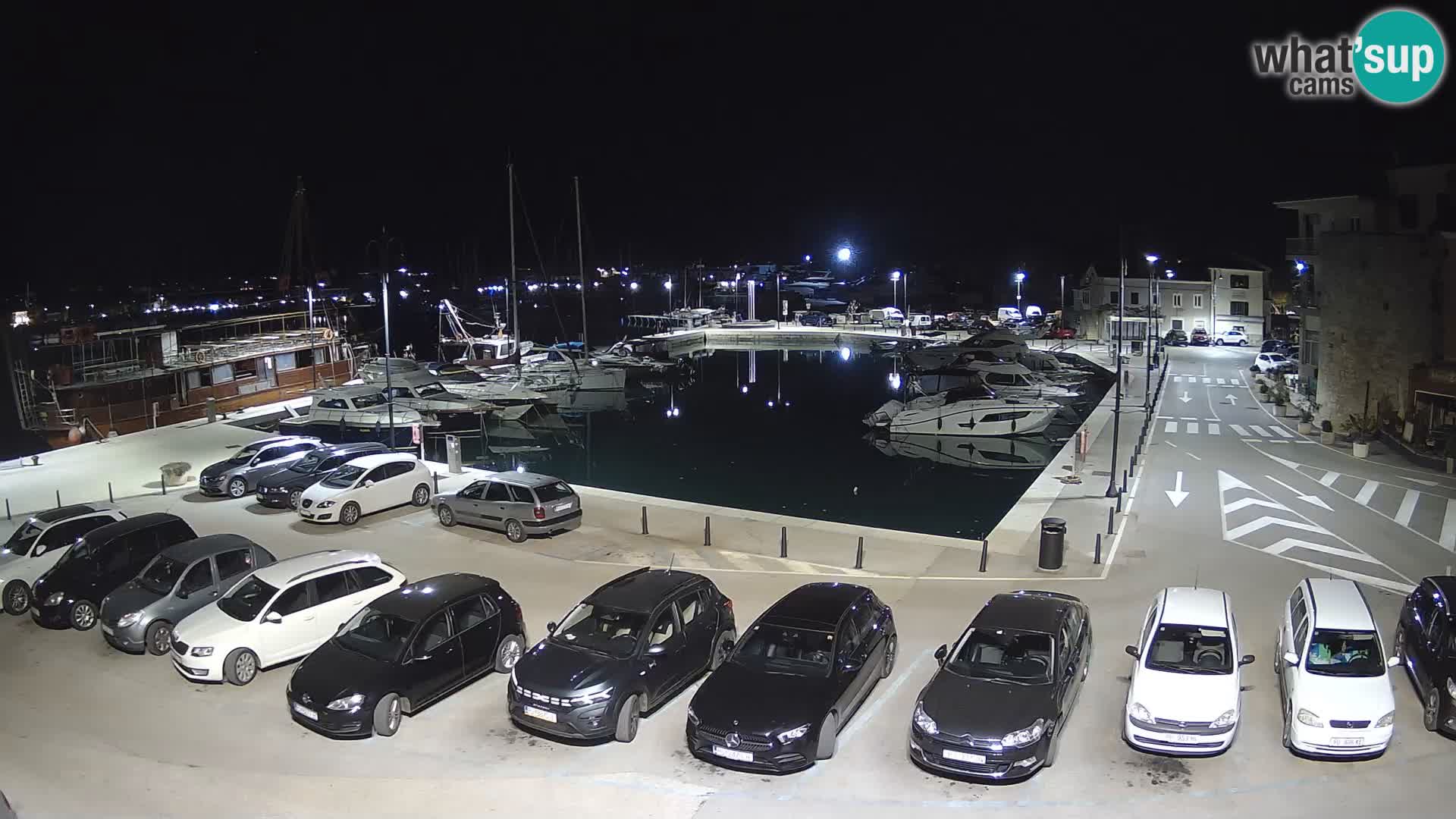 Novigrad | Porporela marina