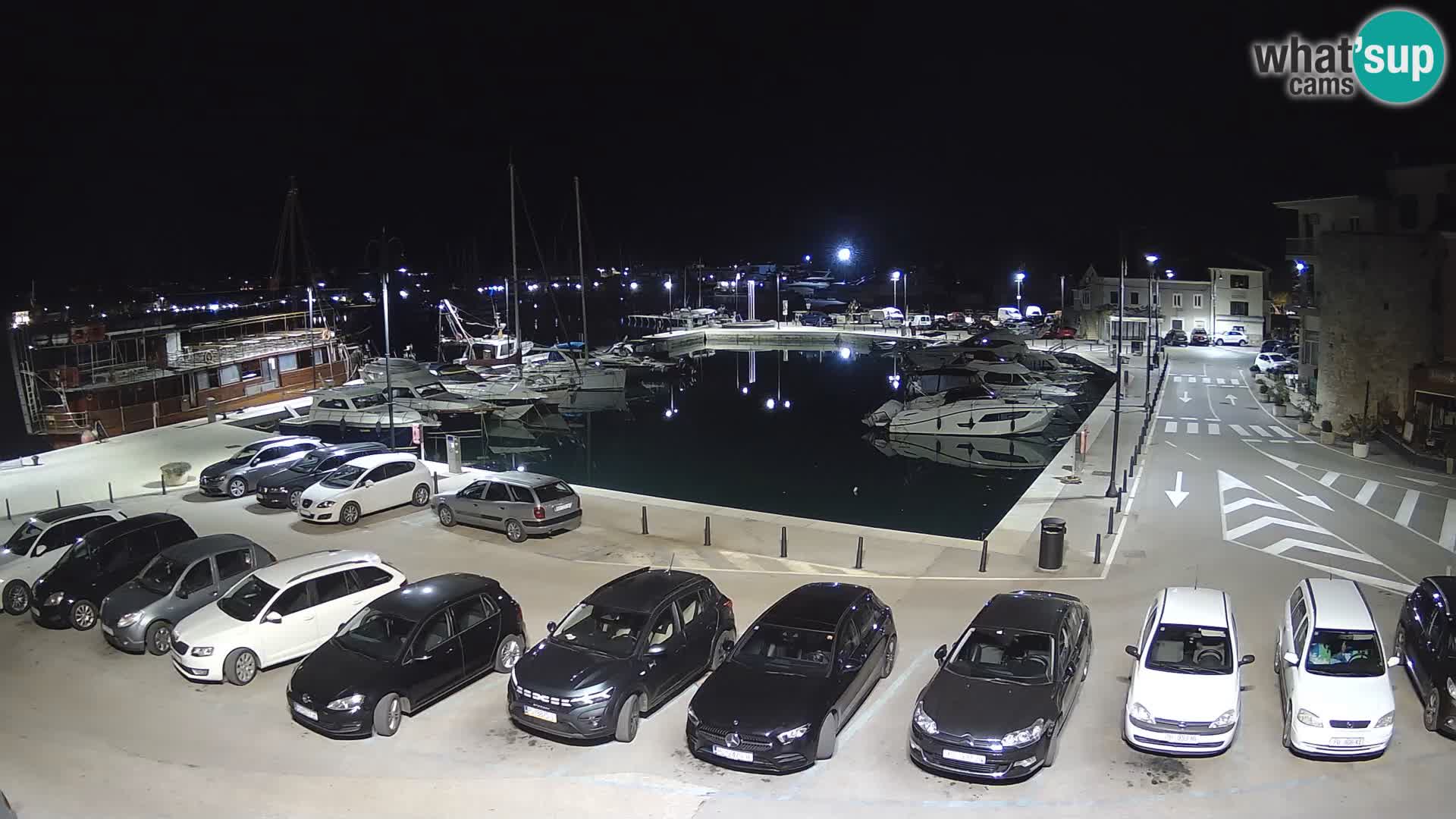 Novigrad | Porporela marina