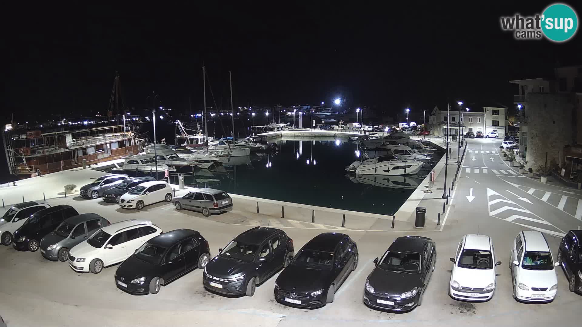 Novigrad | Porporela marina