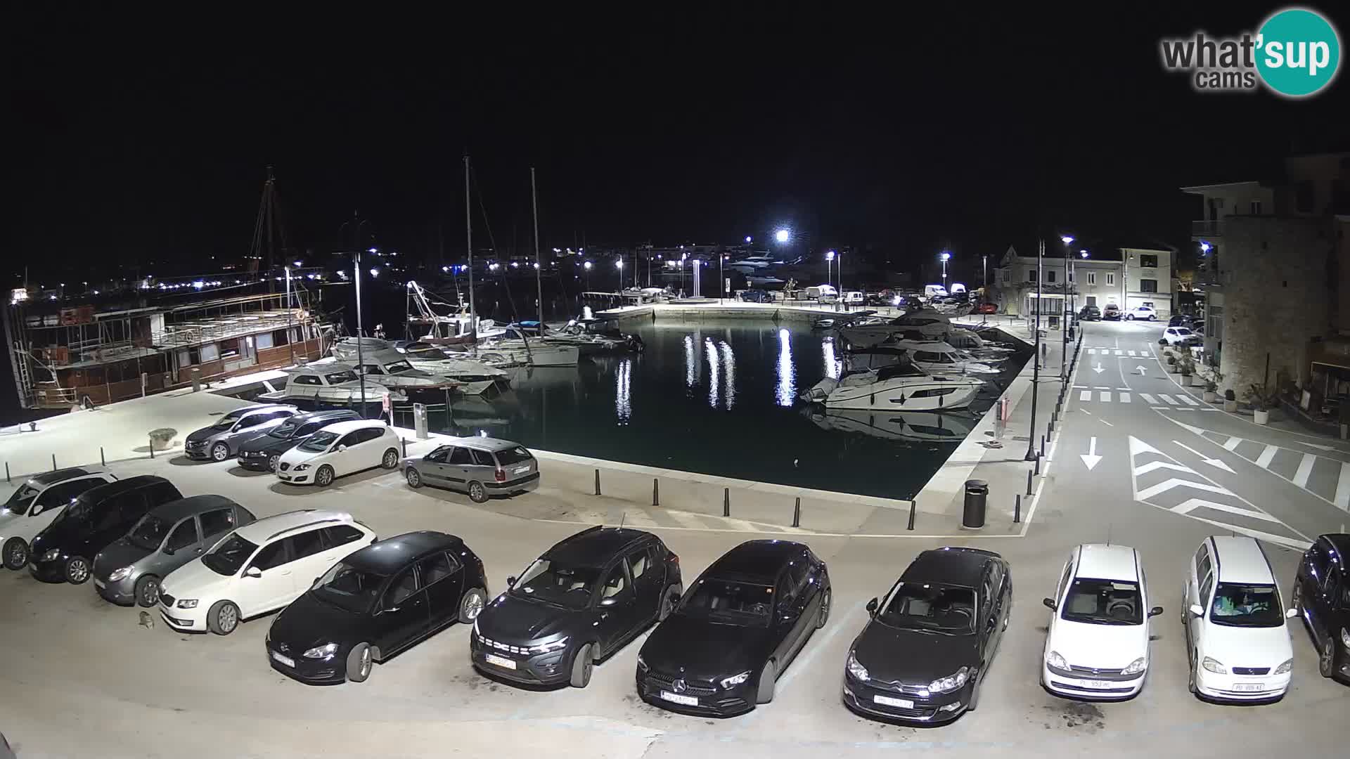 Novigrad | Porporela marina