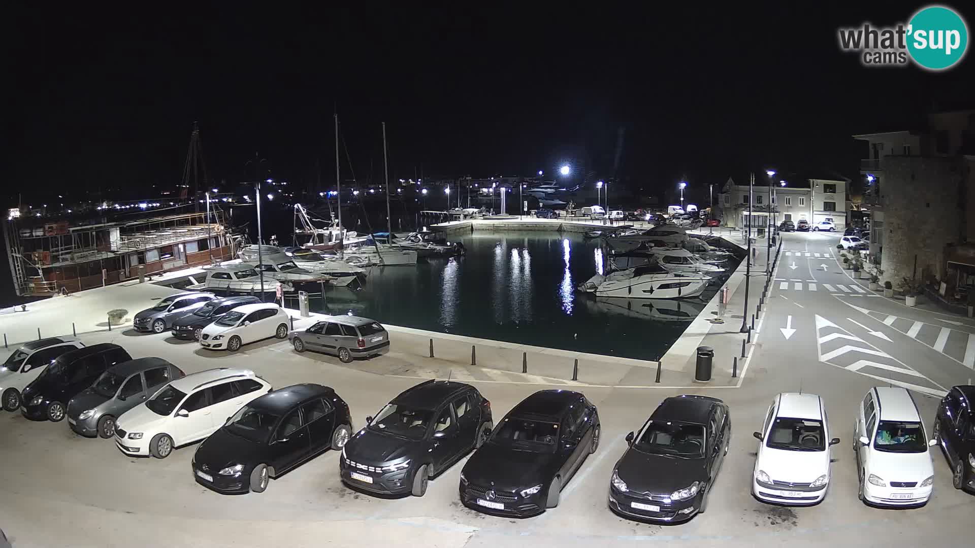 Novigrad | Porporela marina