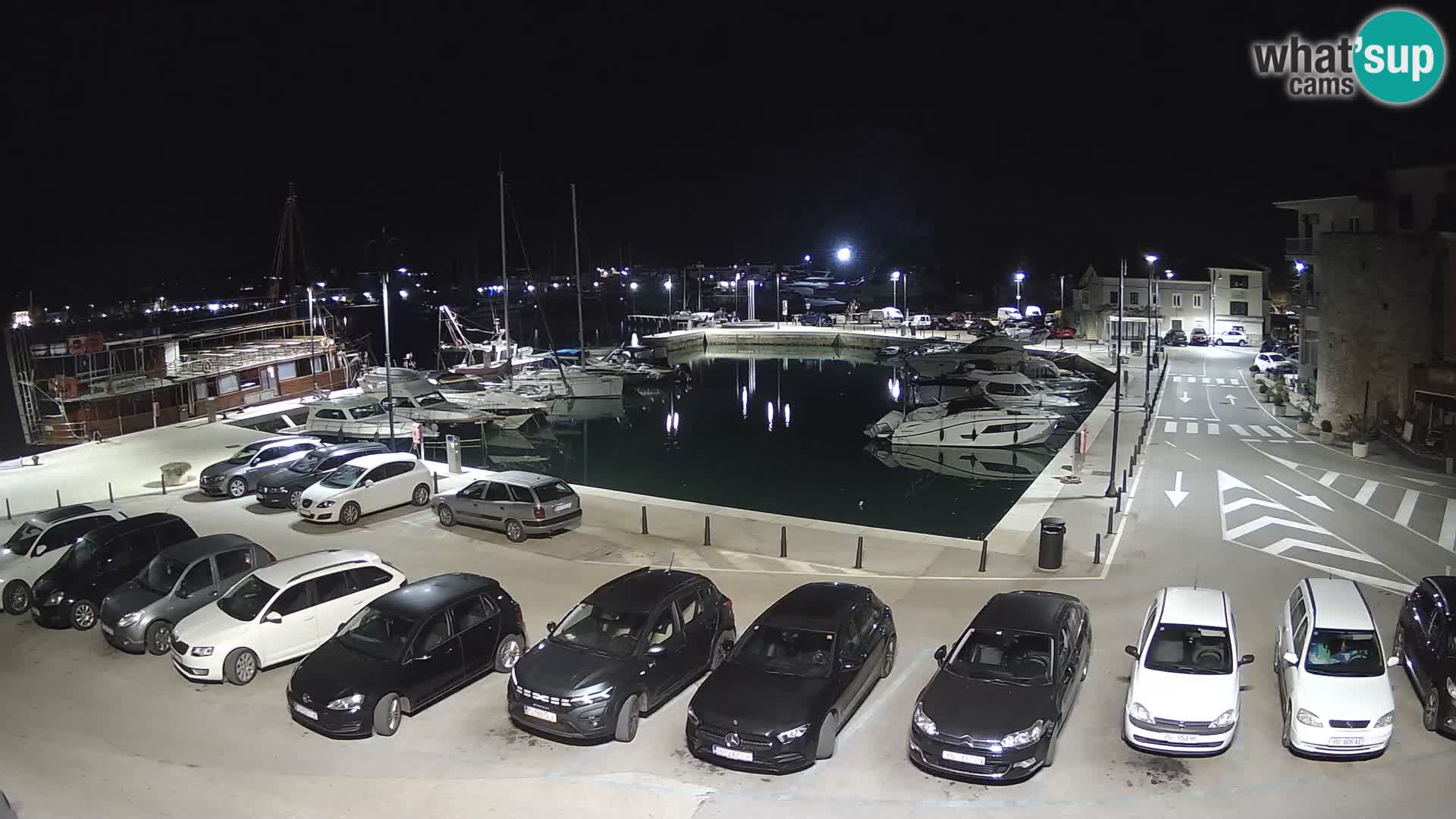 Novigrad | Porporela marina