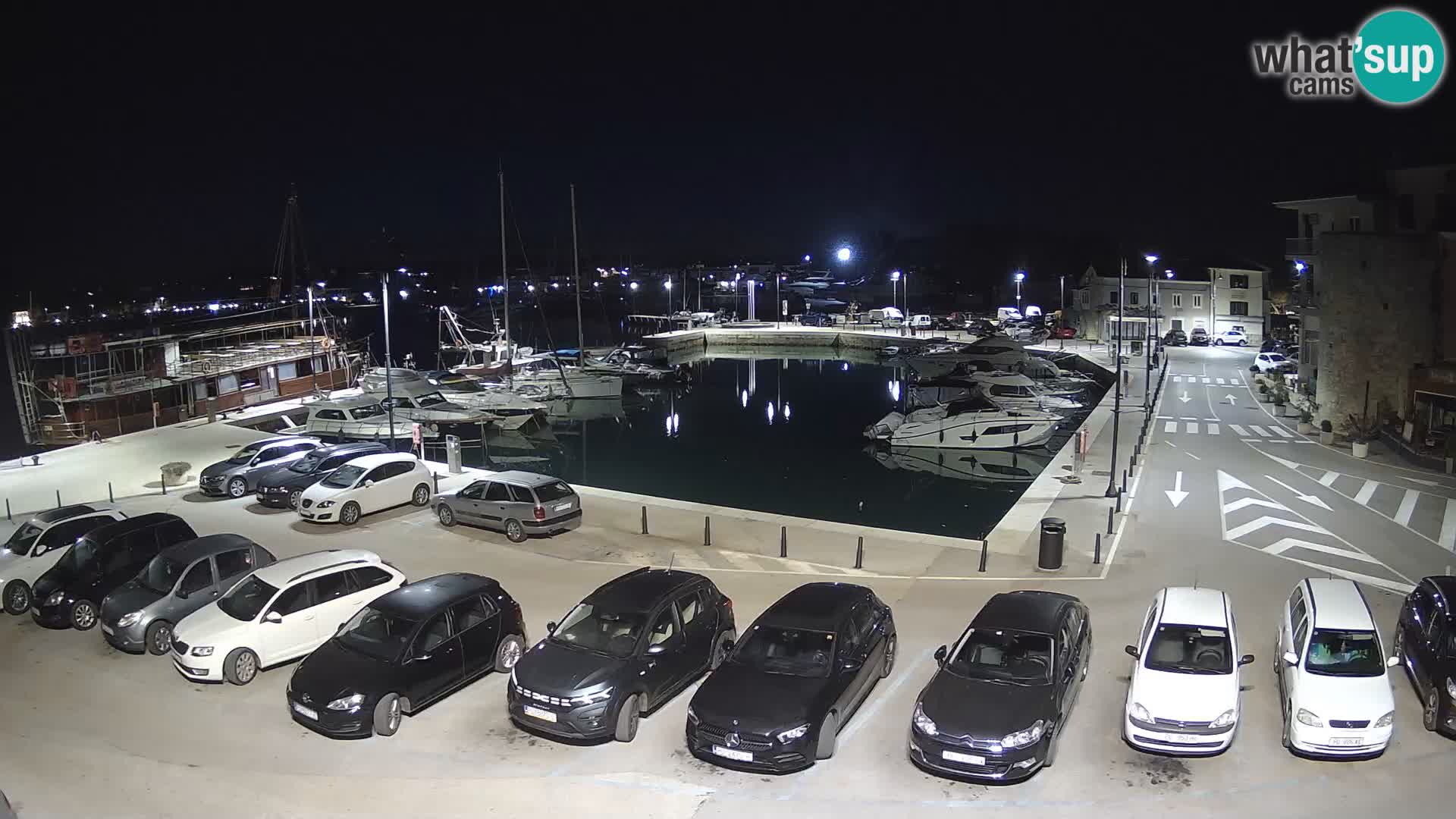 Novigrad | Porporela marina