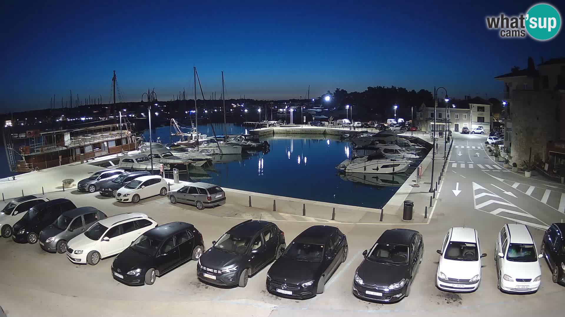 Novigrad | Porporela marina