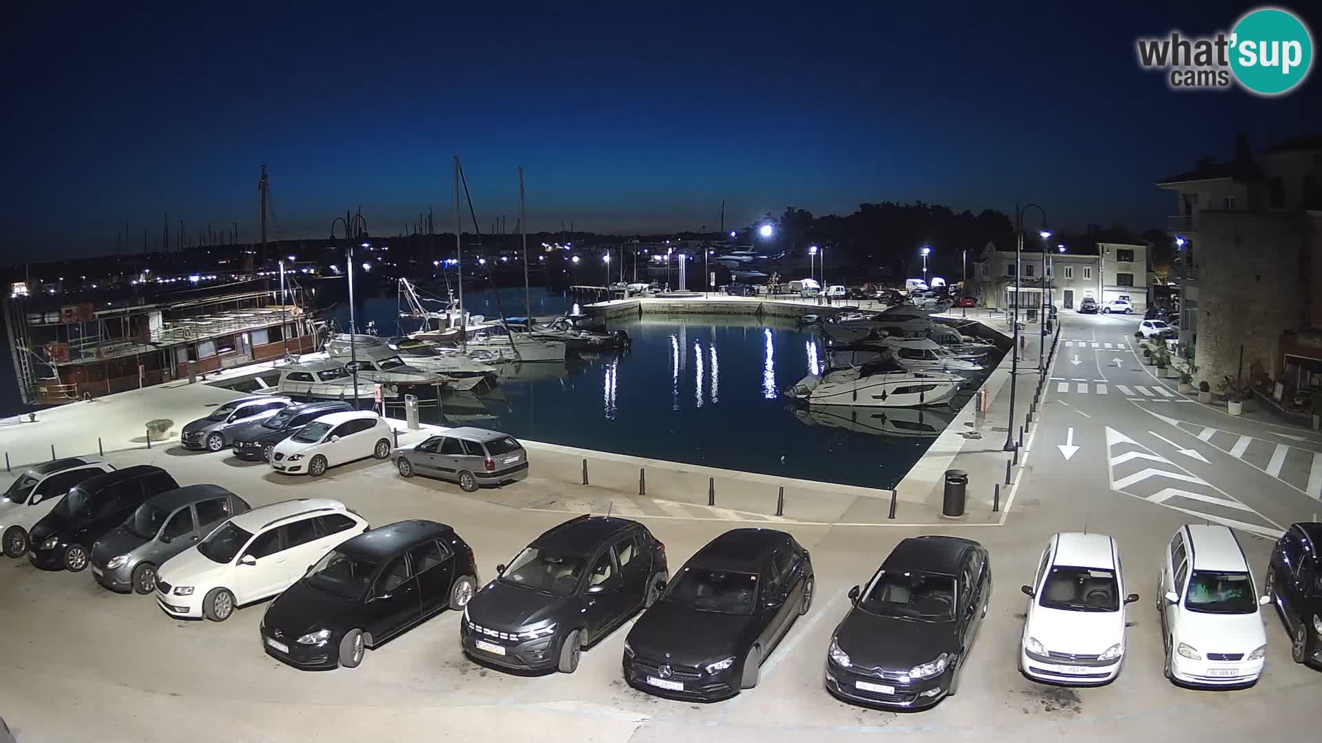 Novigrad | Porporela marina