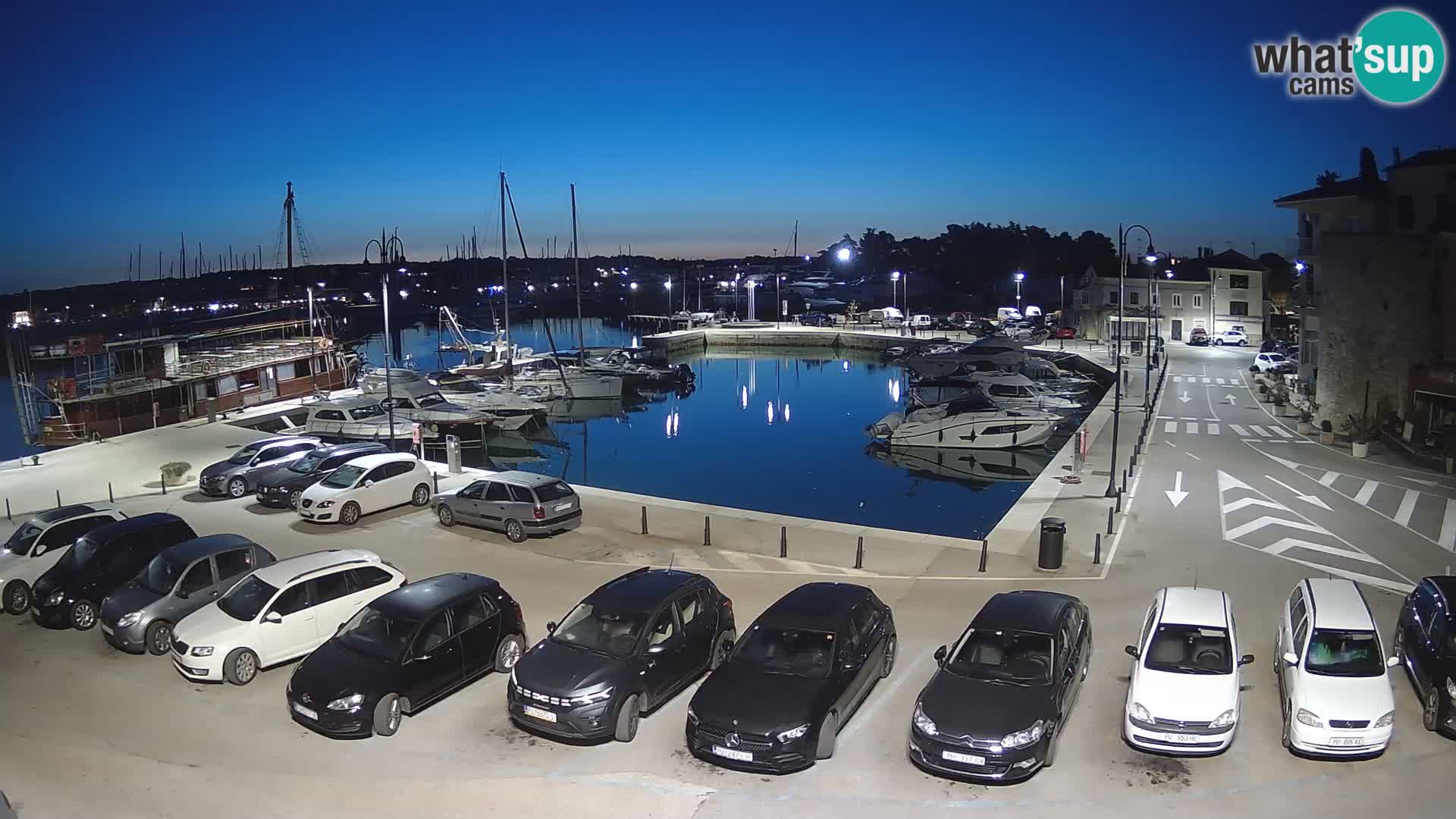 Novigrad | Porporela marina