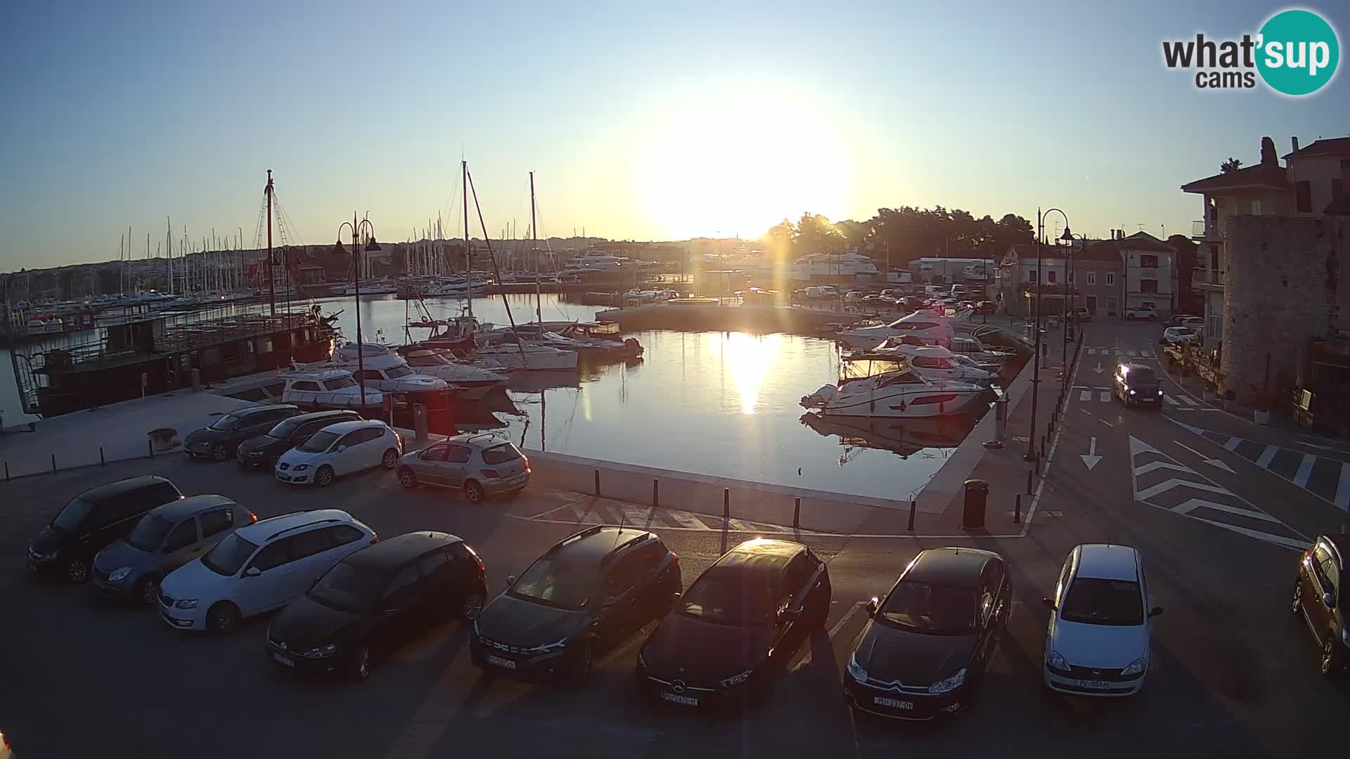 Novigrad | Porporela marina