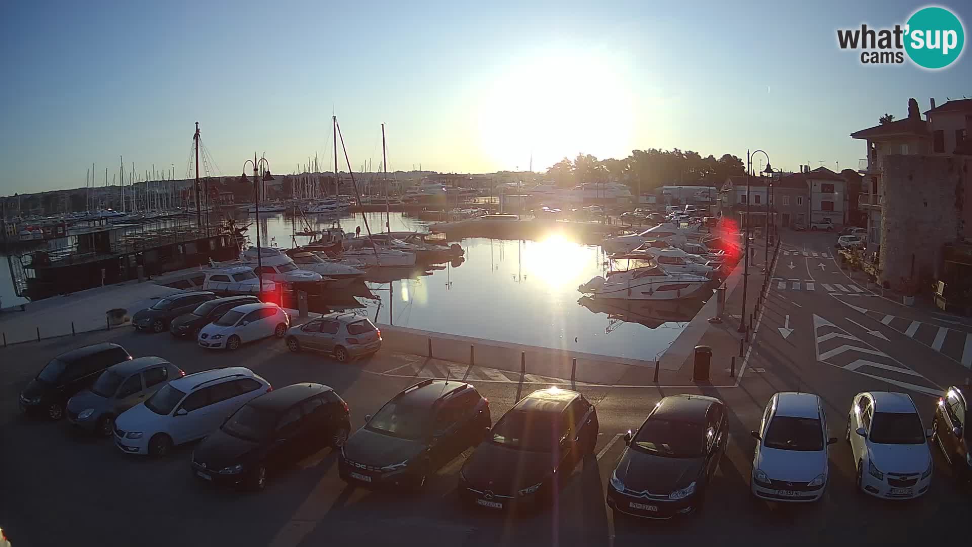 Novigrad | Porporela marina