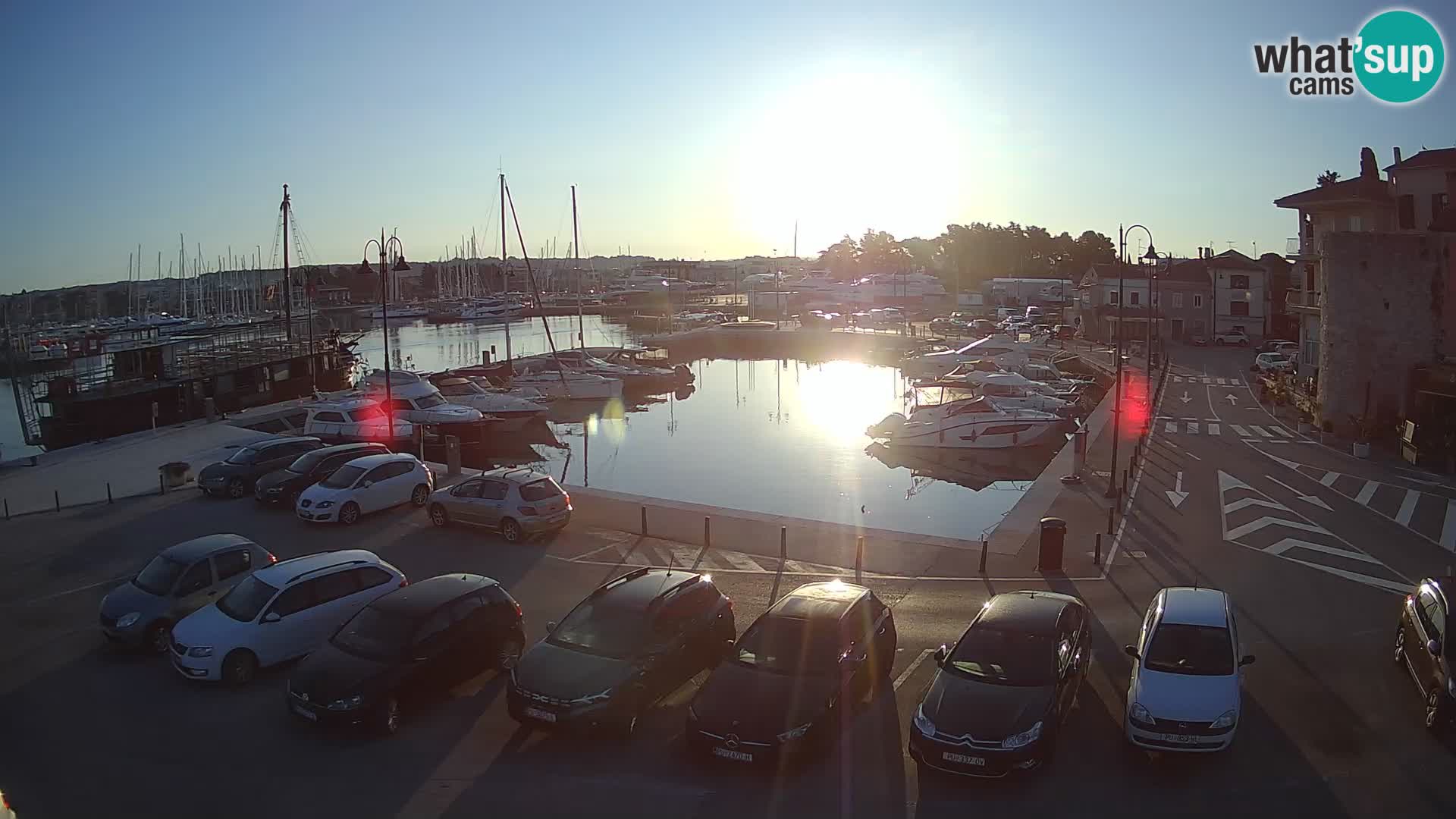 Novigrad | Porporela marina