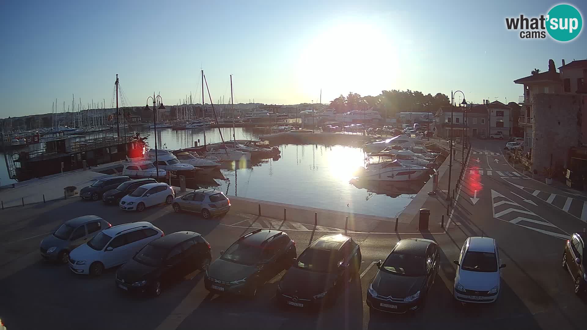 Novigrad | Porporela marina