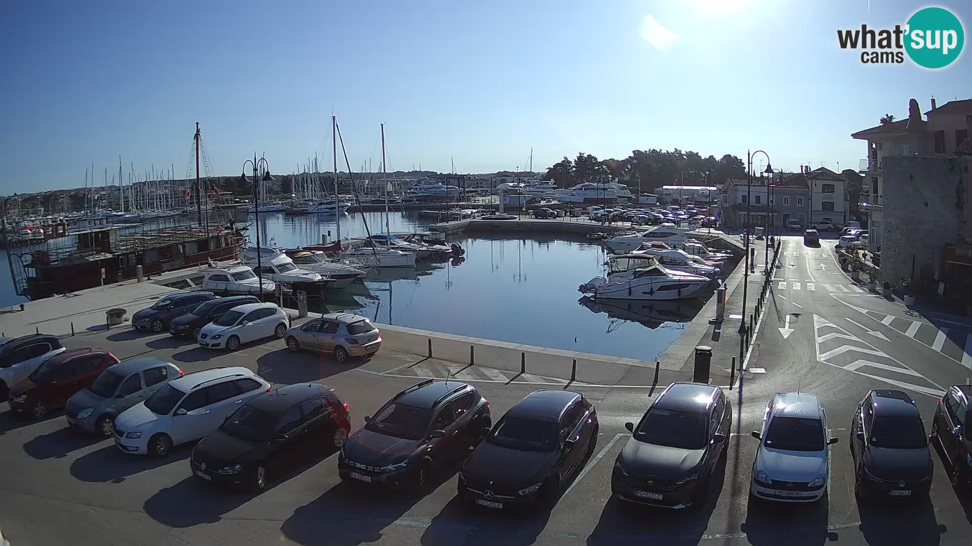 Novigrad | Porporela marina