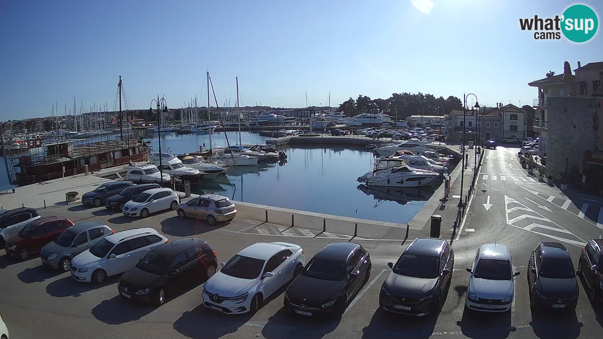 Novigrad | Porporela marina