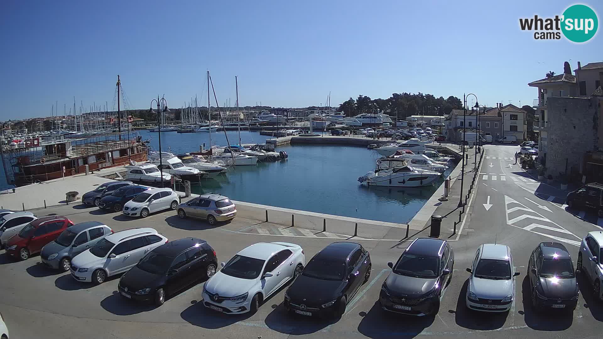 Novigrad | Porporela marina
