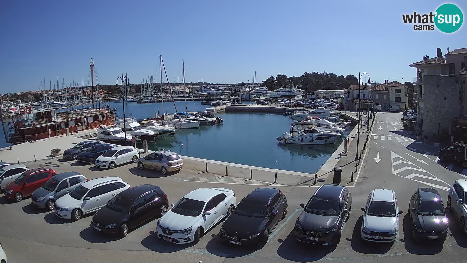 Novigrad | Porporela marina