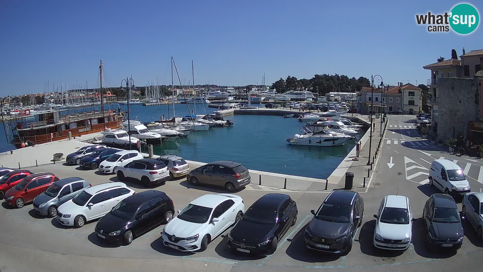 Novigrad | Porporela marina