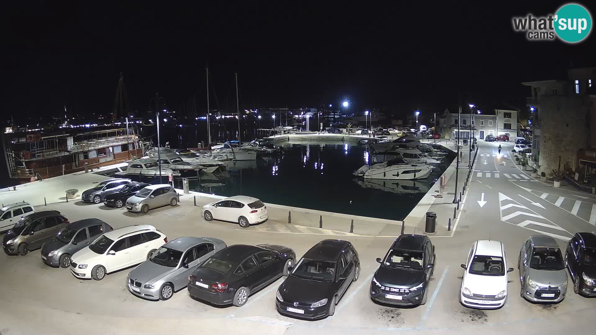 Novigrad | Porporela marina