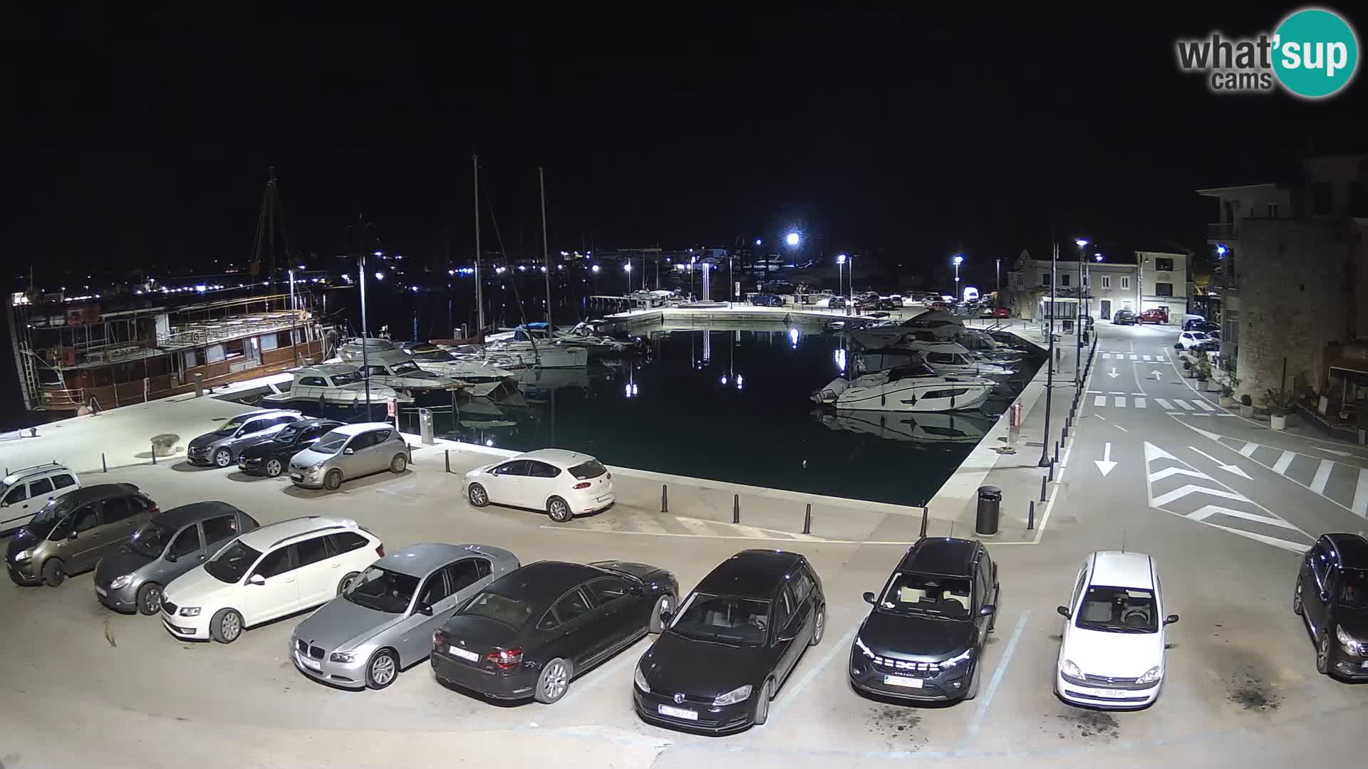 Novigrad | Porporela marina