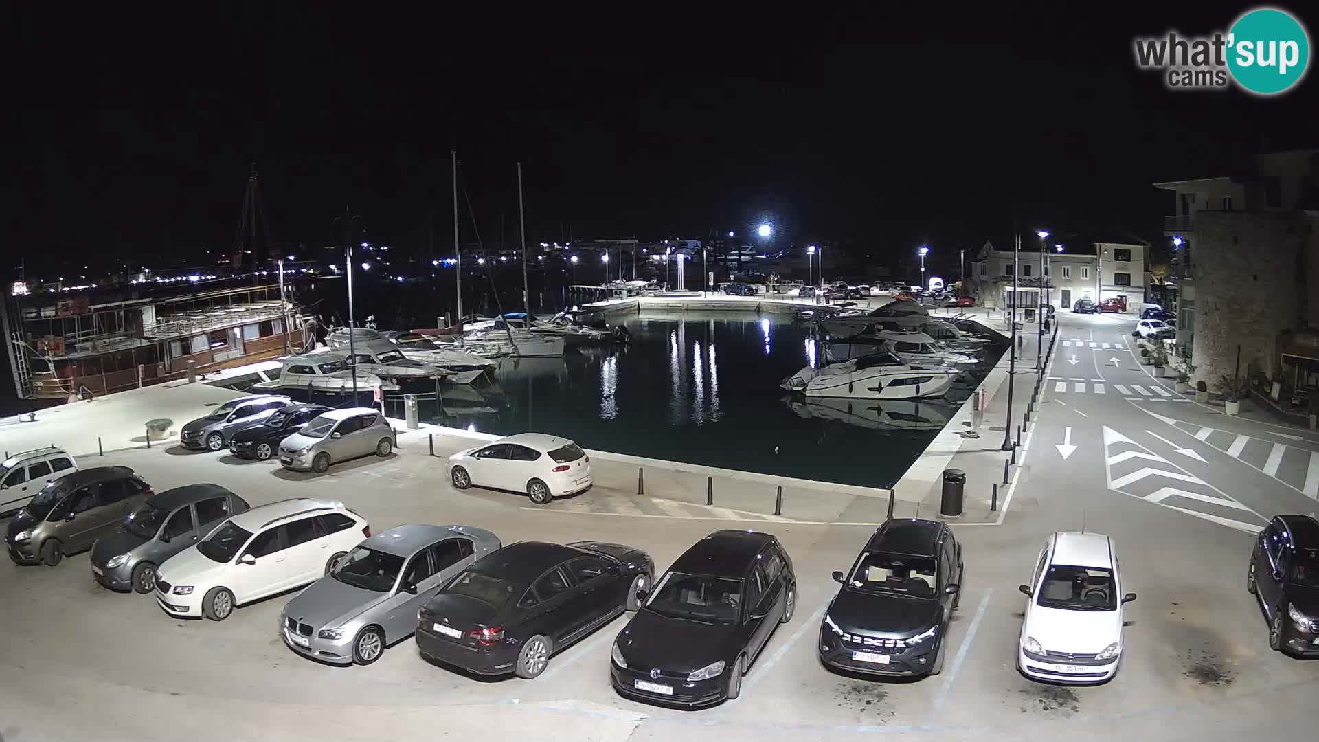 Novigrad | Porporela marina
