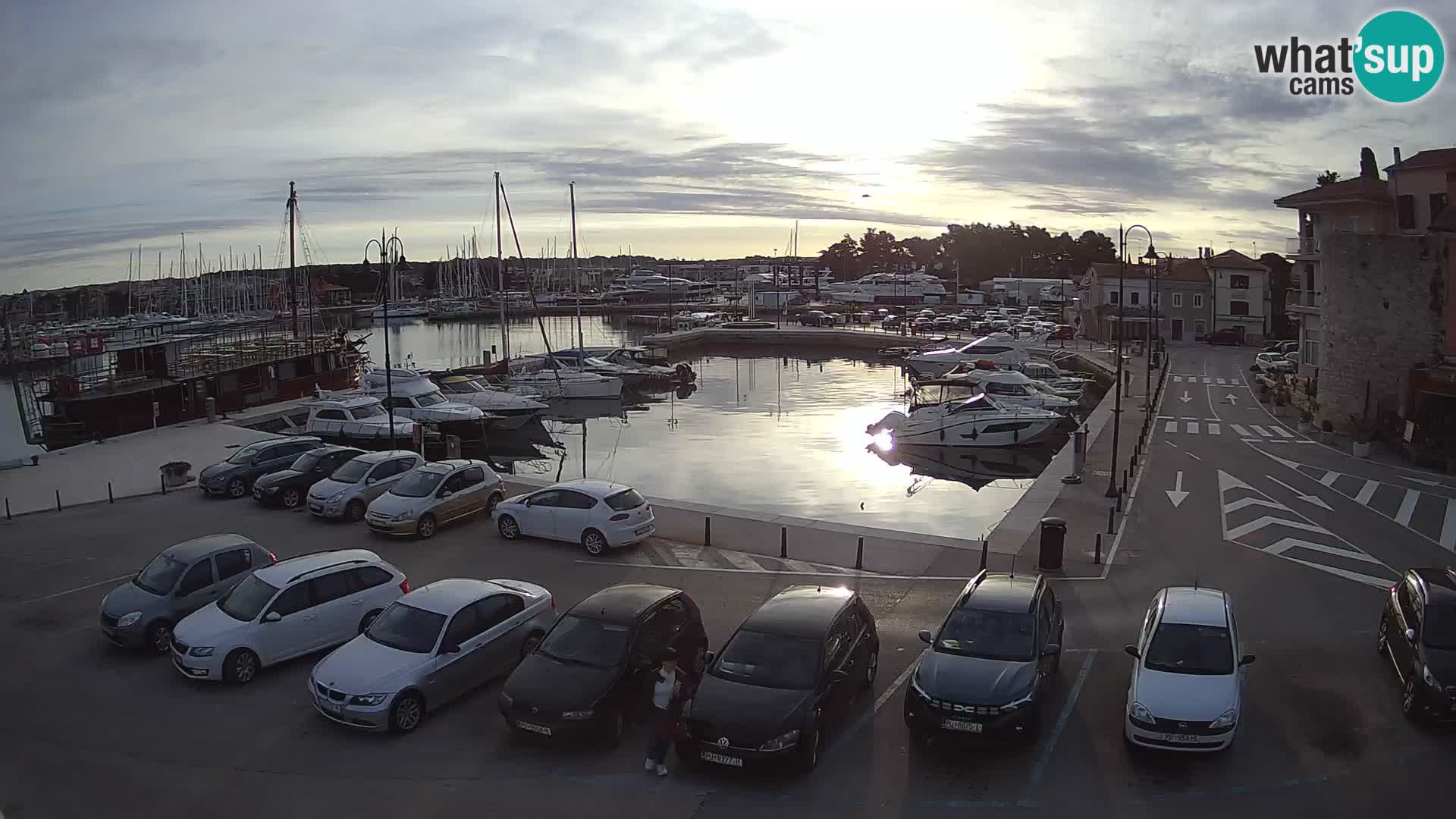 Novigrad | Porporela marina