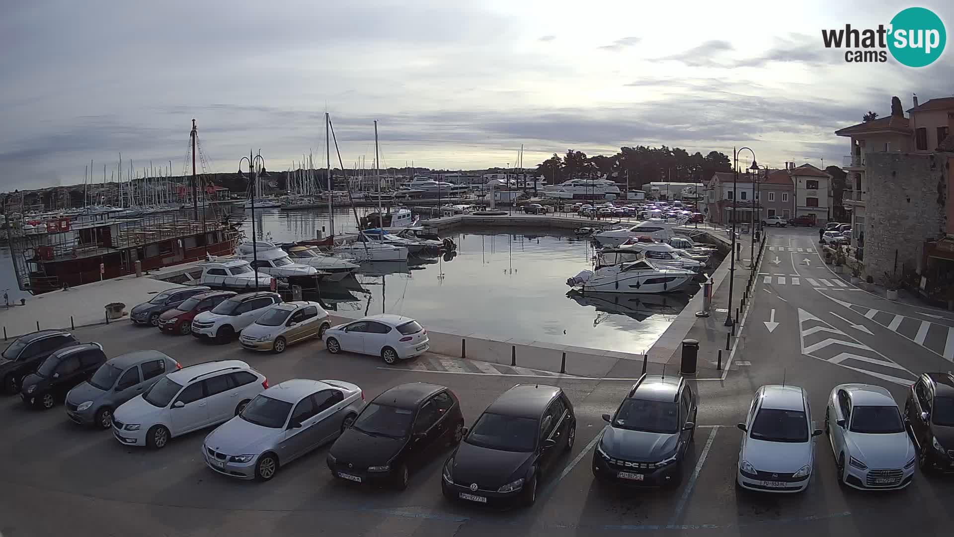 Novigrad | Porporela marina