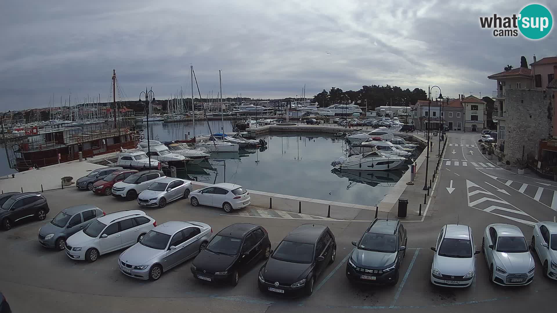 Novigrad | Porporela marina