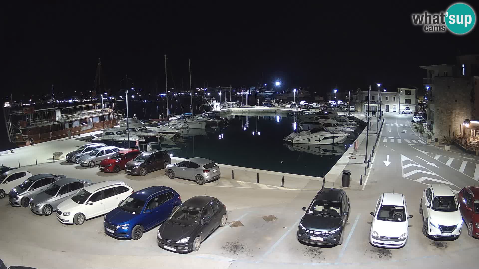 Novigrad | Porporela marina