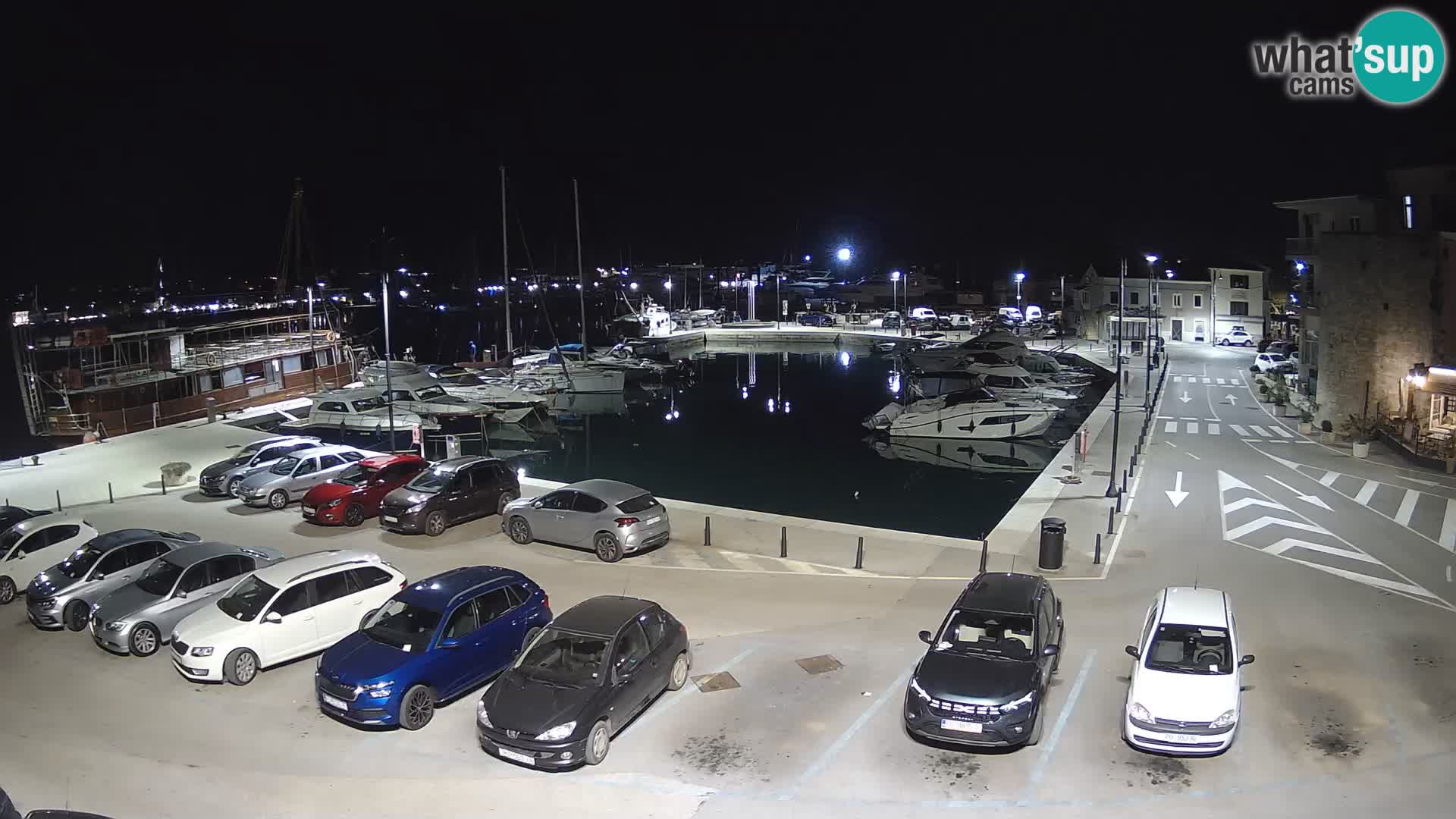 Novigrad | Porporela marina