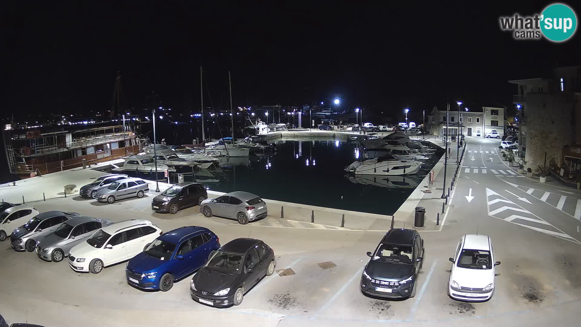 Novigrad | Porporela marina