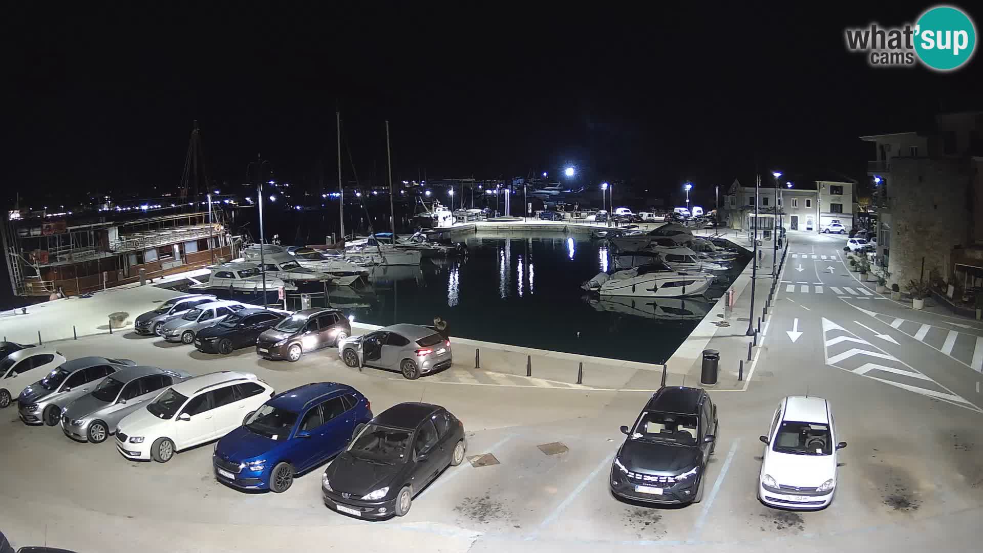 Novigrad | Porporela marina